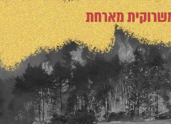 השריפות בהרי ירושלים היו "אסון לאומי"? הממשלה לא ממהרת עם ההכרזה